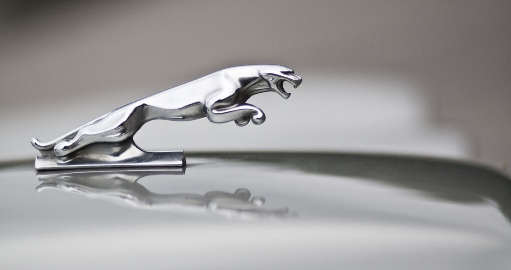The Scoop: Jaguar stands behind polarizing rebrand