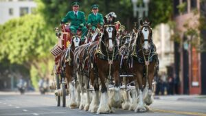 Budweiser celebrates 150 years of being America’s beer
