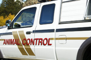 Inside the government docuseries that changed minds about animal control