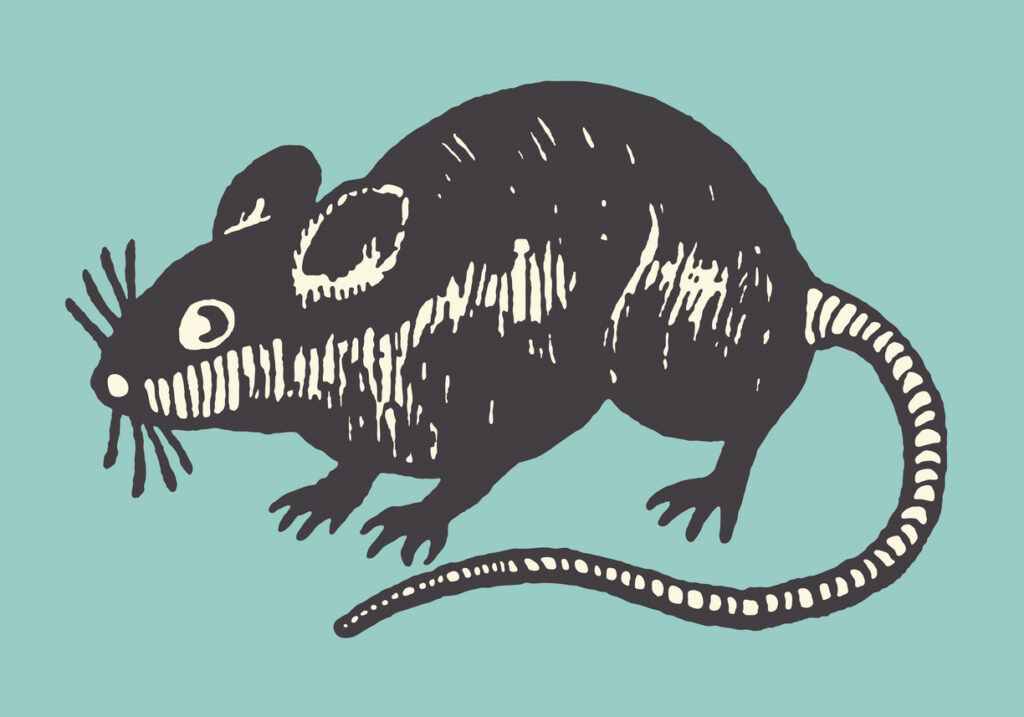 Rat poison, AI search and the well we all drink from